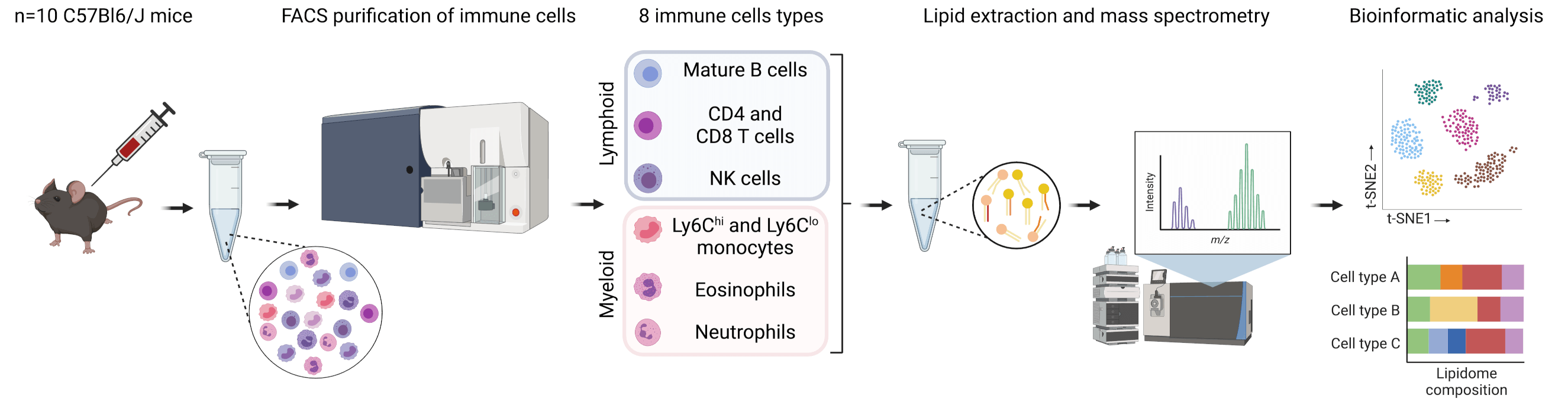 Human Immune Cell processing